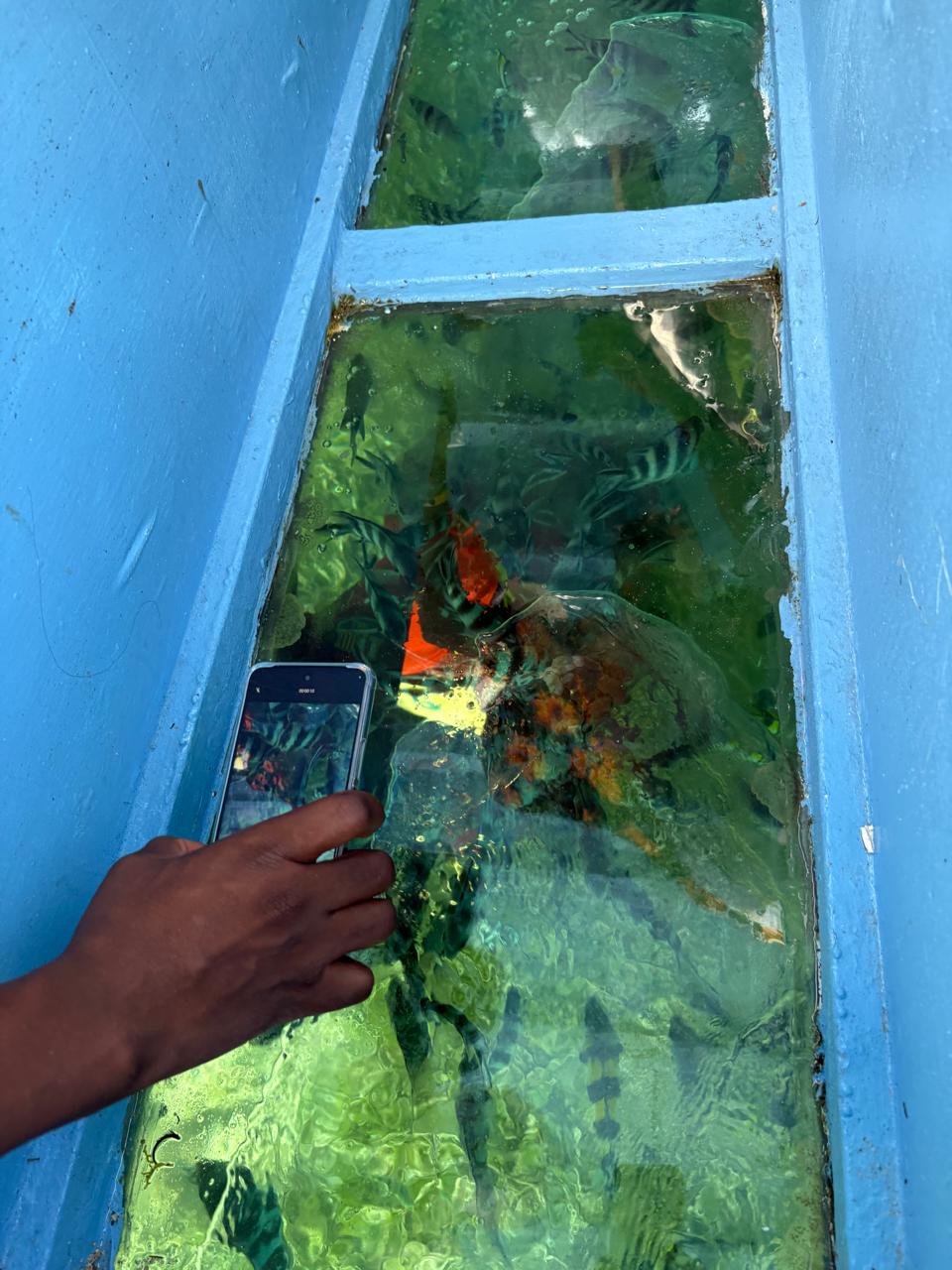 Glass Bottom Boat Experience gallery image 4
