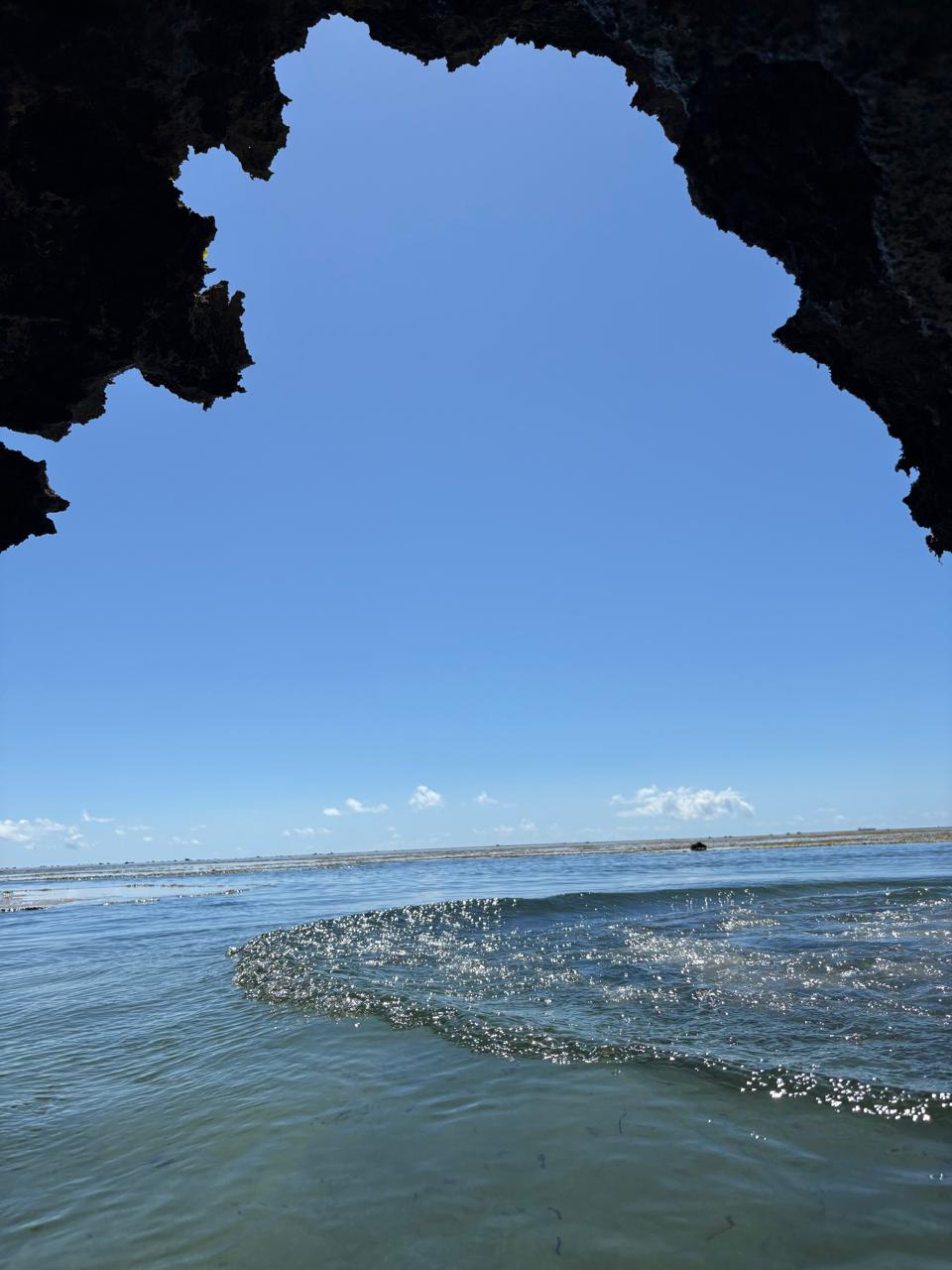 Wasini Island Day Trip gallery image 2