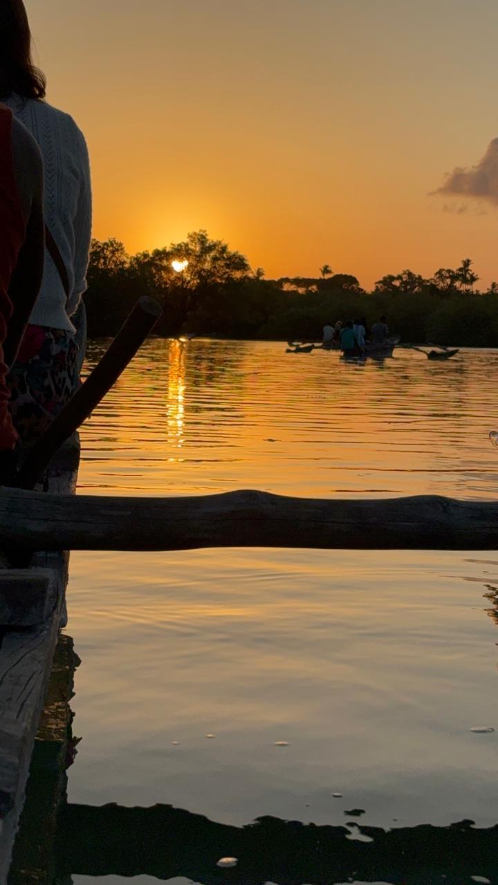 Sunset River Estuary Cruise gallery image 2