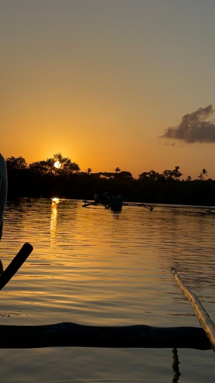 Sunset River Estuary Cruise gallery image 4