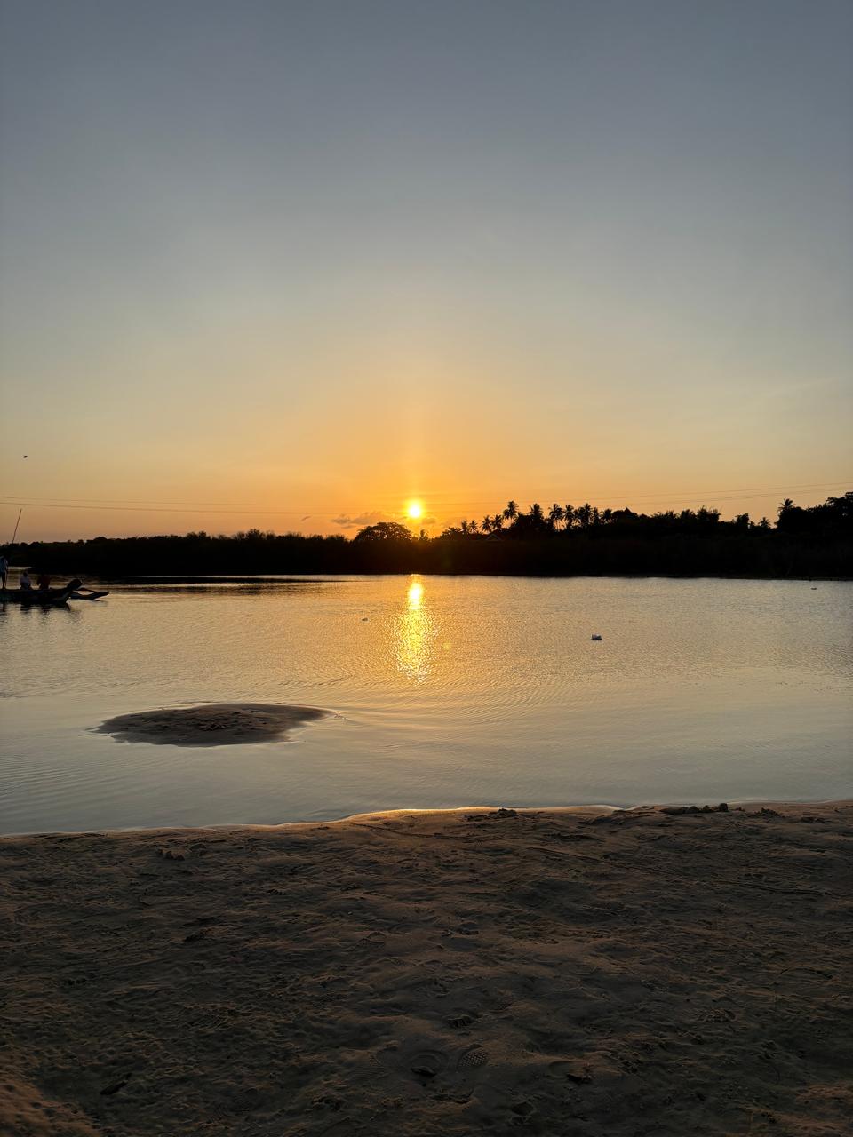Sunset River Estuary Cruise gallery image 5